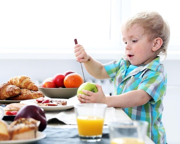 The Daily Food Guide for Toddlers: How to Balance Nutrition and Taste